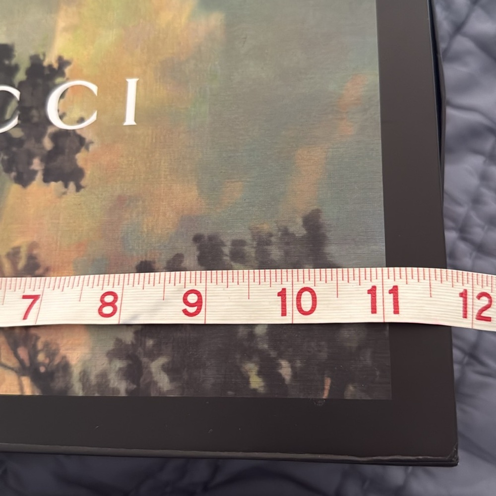 Gucci Carry-Shoe Box - Picture 5 of 6